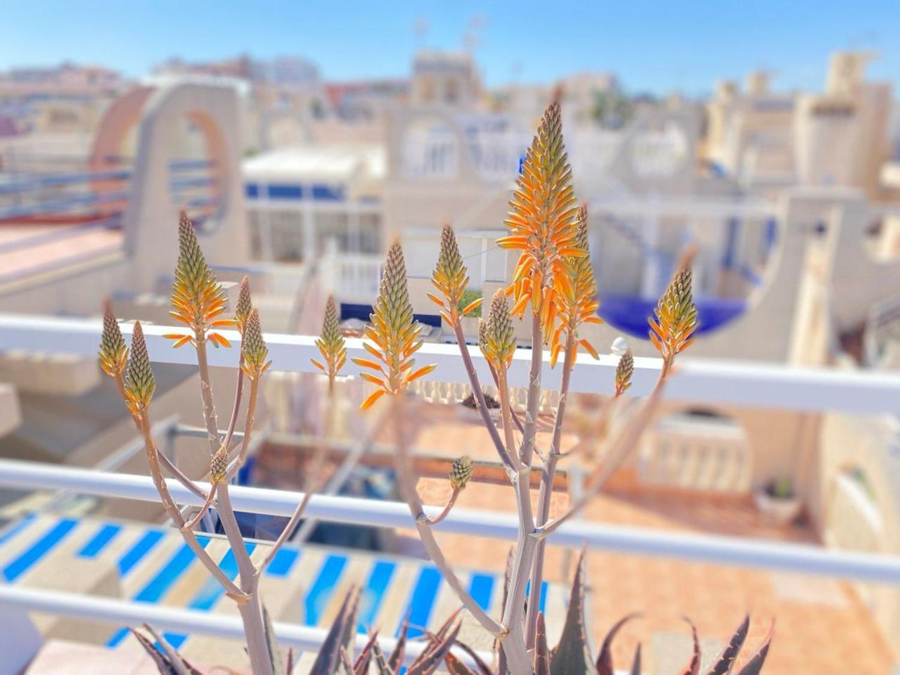 Sea View Apartments Dunas De La Mata Torrevieja Extérieur photo